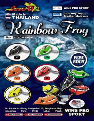 Sawa-D Rainbow Frog
